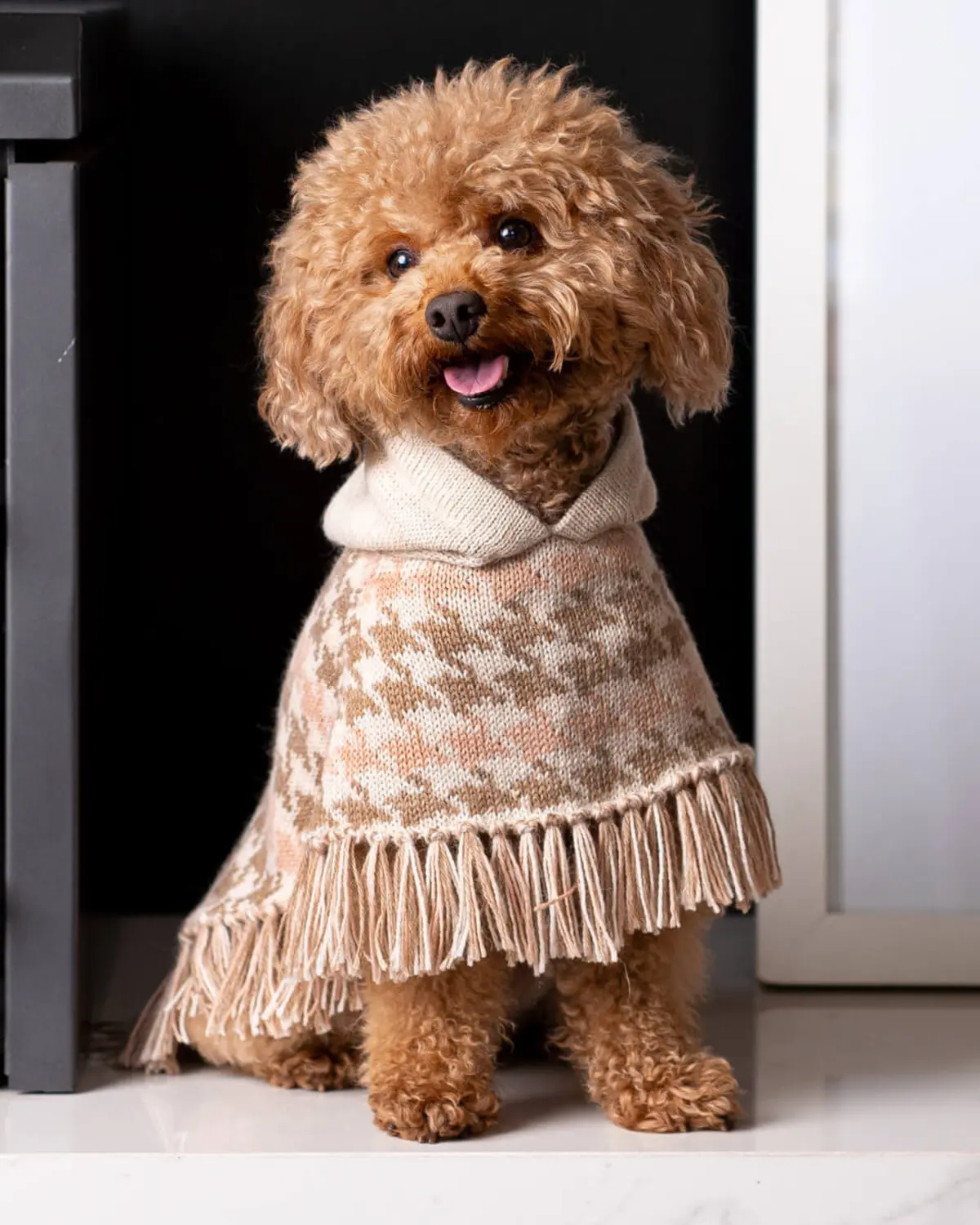 Soft Houndstone Alpaca Dog Poncho 1