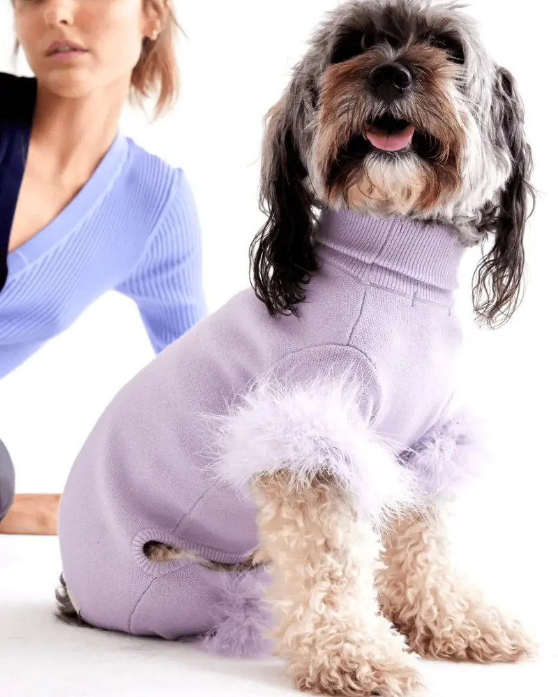 Feather Knit Dog Onesie In Lavender (Final Sale) 1
