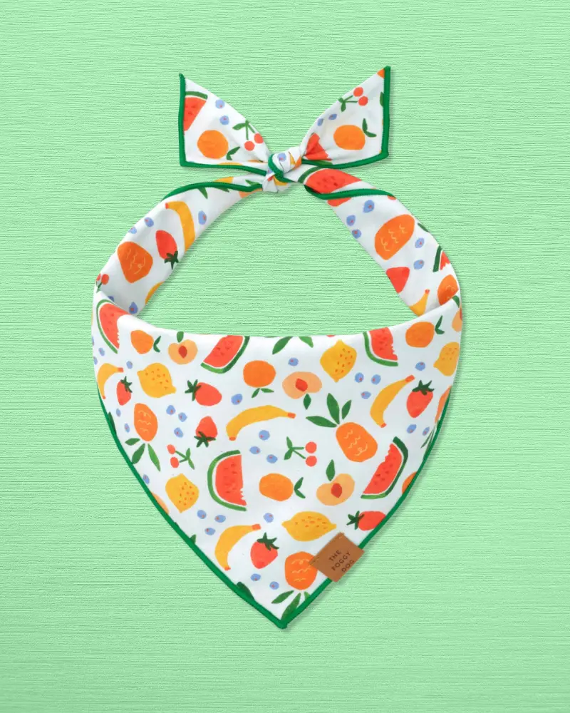 Fruit Salad Dog Bandana (Made In The Usa) (Final Sale) 1