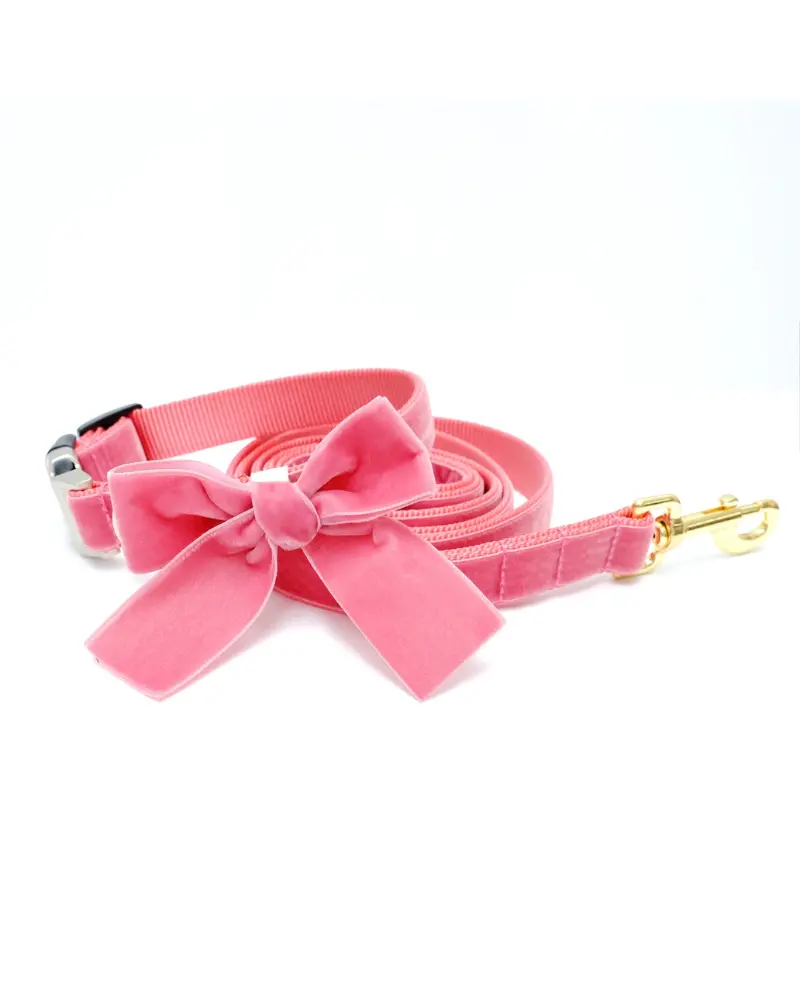 Velvet Dog Bow Collar & Leash Set In Primrose Pink 1