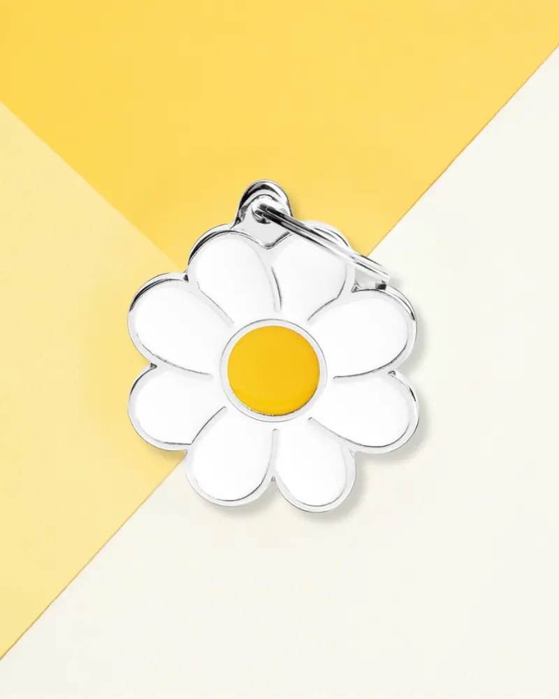 Hey Daisy Custom Pet Id Tag 1
