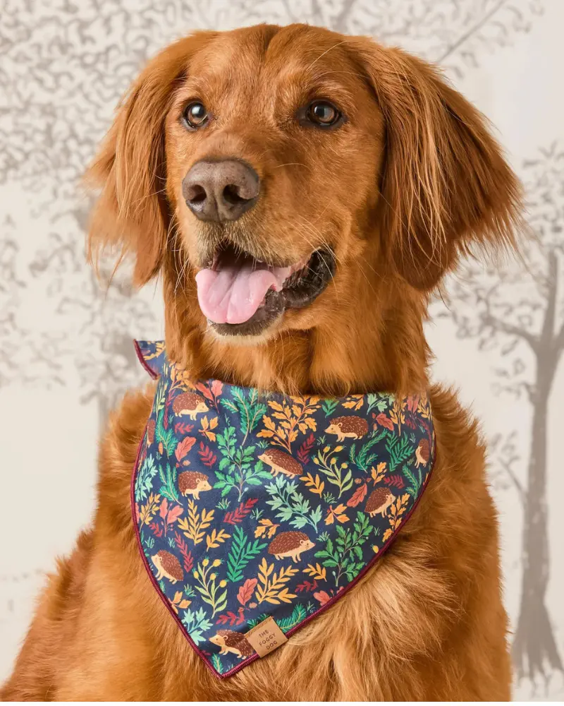 Hedgehog Hollow Cotton Dog Bandana (Made In The Usa) (Final Sale) 1