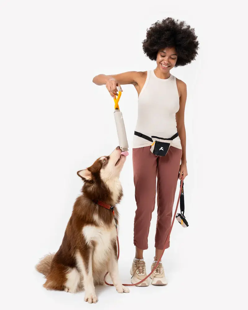Tugger Dog Toy In Con Leche 2