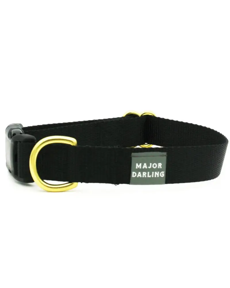 Side-Release Buckle Dog Collar In Black (Made In The Usa) (Final Sale) 1