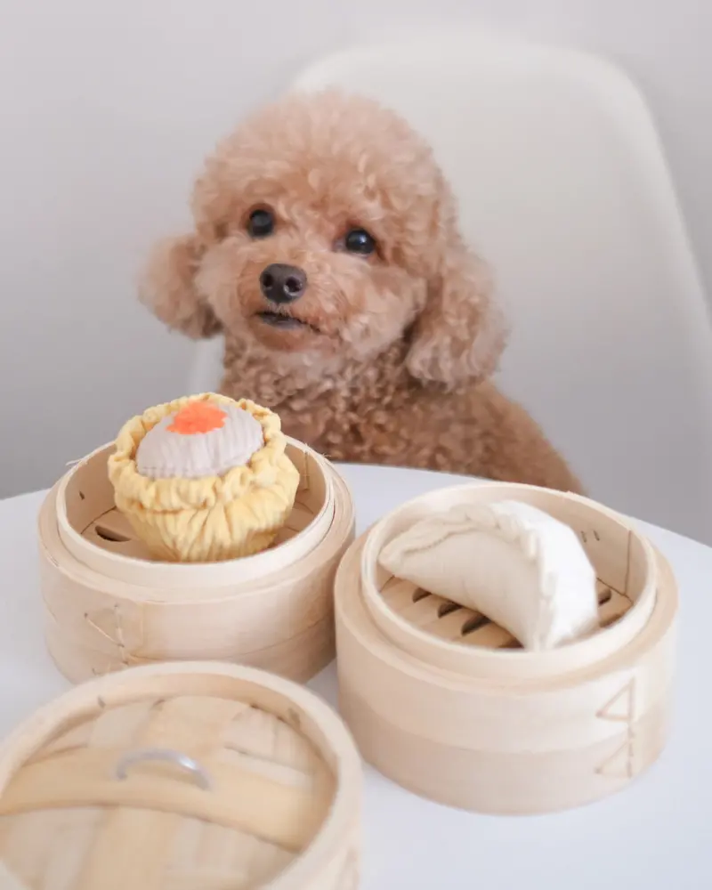 Dim Sum Pop Enrichment Dog Toy 1