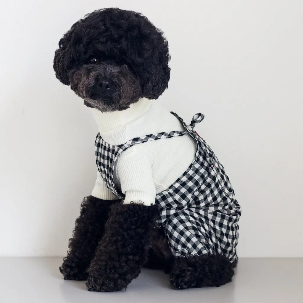 Dentists Appointment | Gingham Check Overall In Black & White 1
