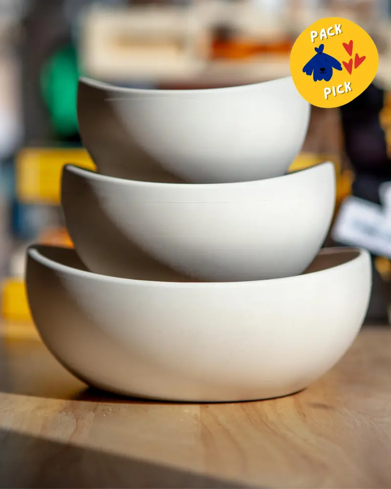 Silicone Dog Bowl 1