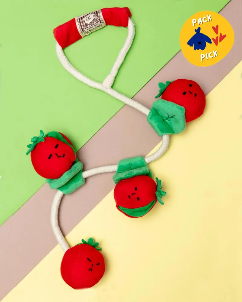 Cherry Tomato Nose Work & Tug Dog Toy 1