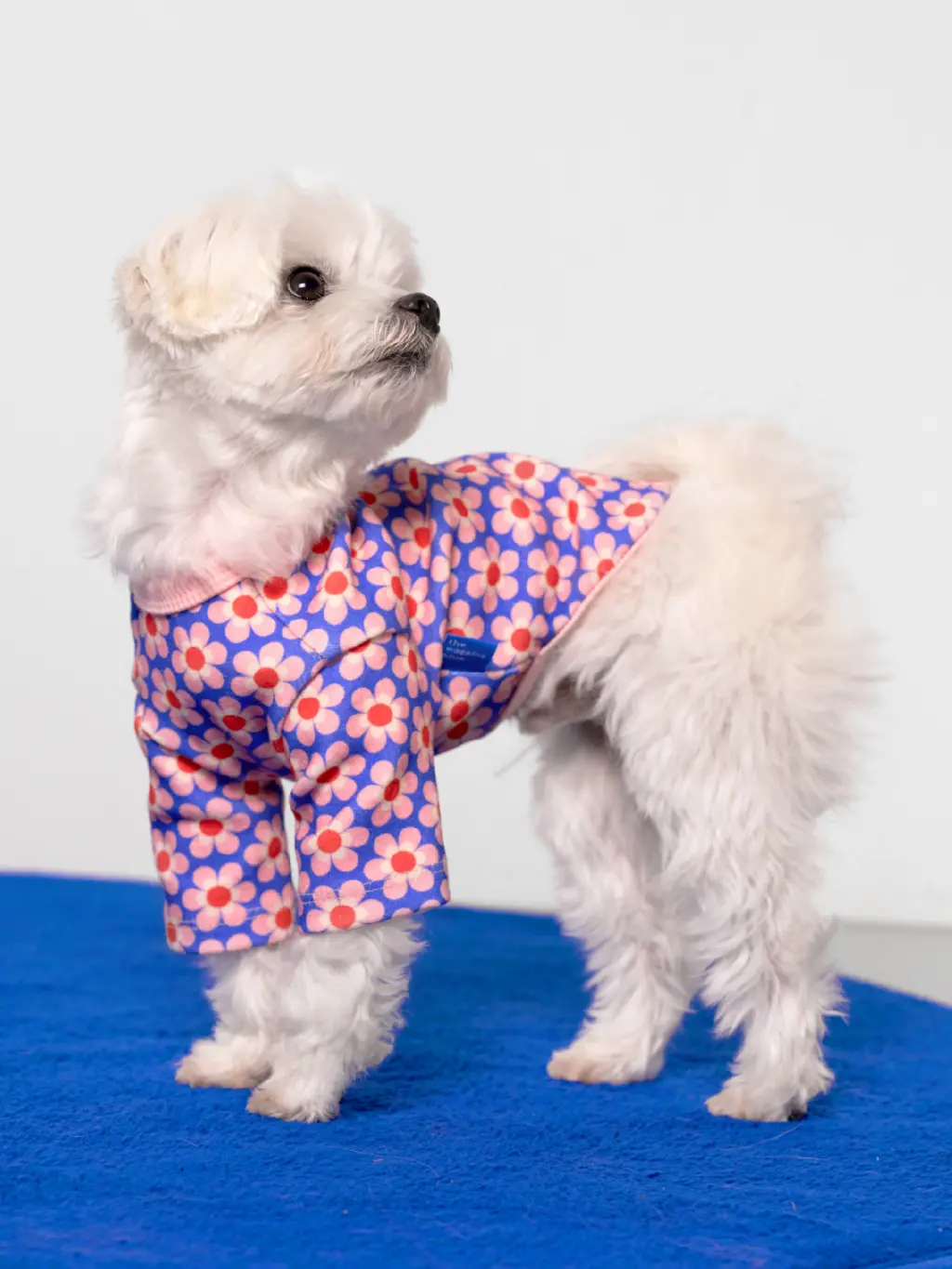 Pink Lotus Dog Shirt 1