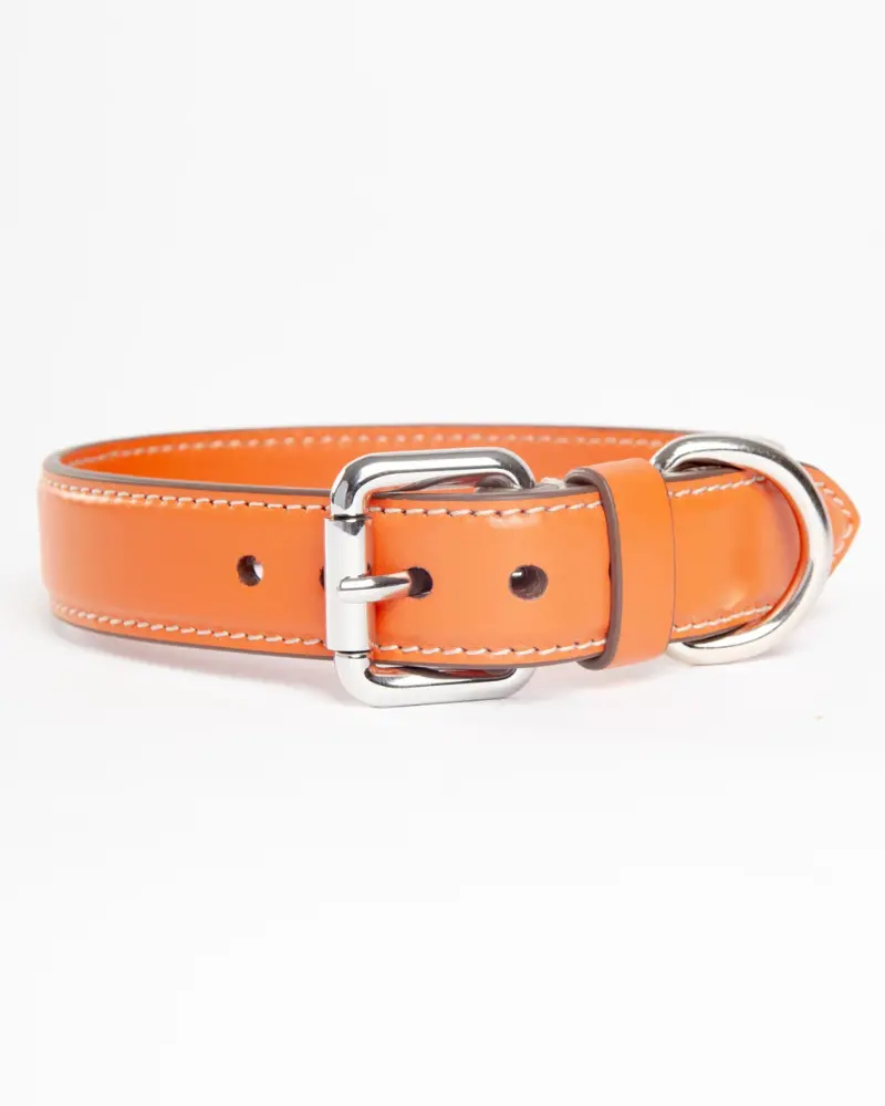 Leather Dog Collar In Orange (Made In Italy) 1