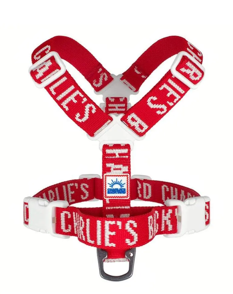 "Y" Shape Trip Harness For Dogs (Final Sale) 1