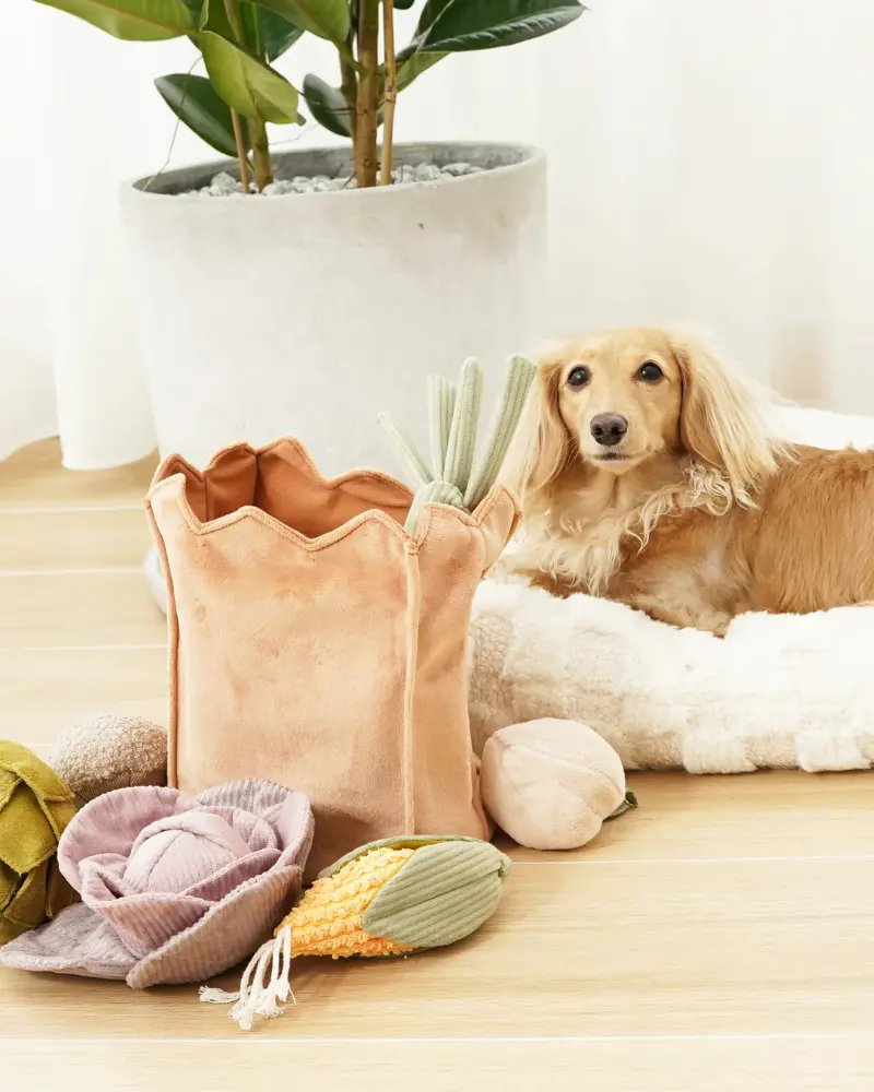 Farmer's Market Bag Crinkle Dog Toy (Empty Bag Only) 1