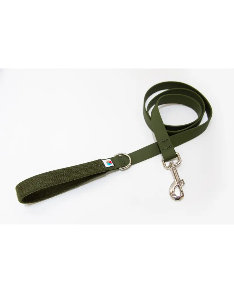 Funston Dog Leash In Olive Biothane 1