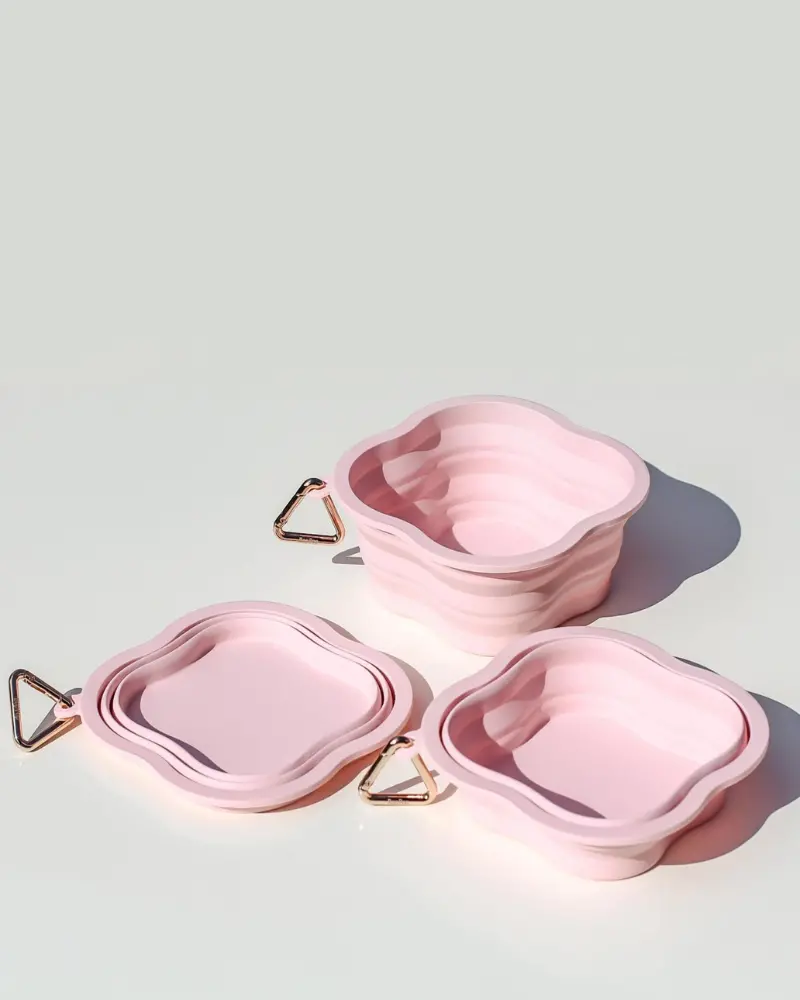 Collapsible Silicone Water Bowl 1