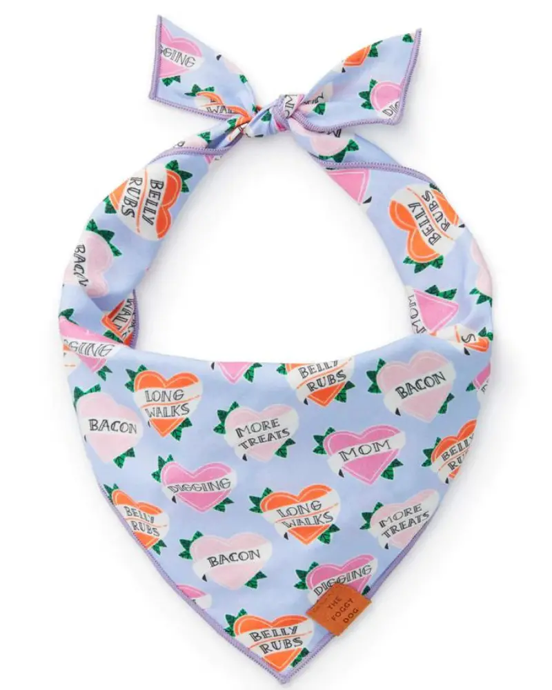 Love Language Dog Bandana (Final Sale) 3