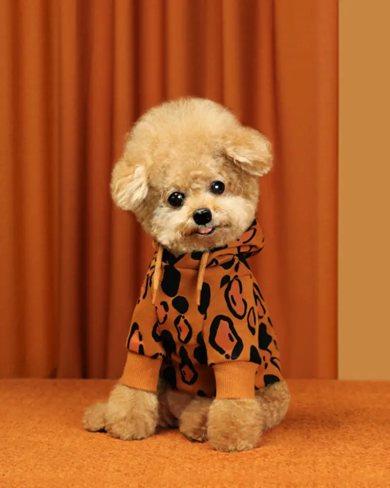 Animal Print Dog Hoodie In Brown (Final Sale) 1