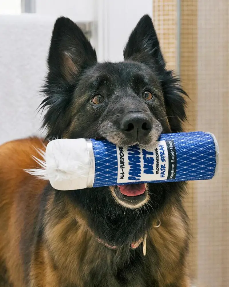 80S Classic Hairspray Dog Toy (Final Sale) 2