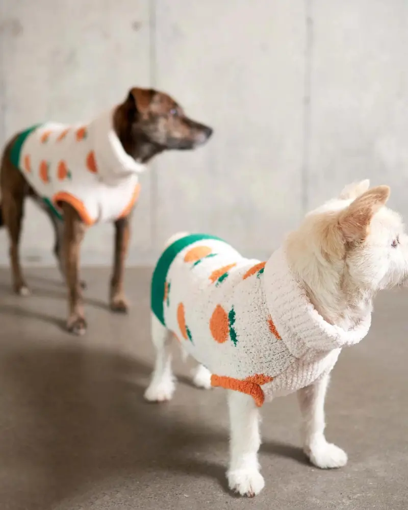 Orange Dog Sweater 1