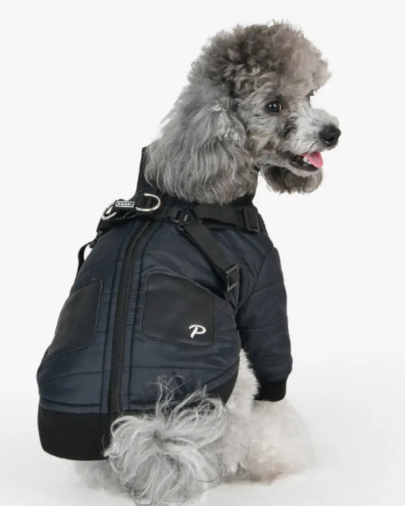 Stratus Dog Harness Coat In Black (Final Sale) 1