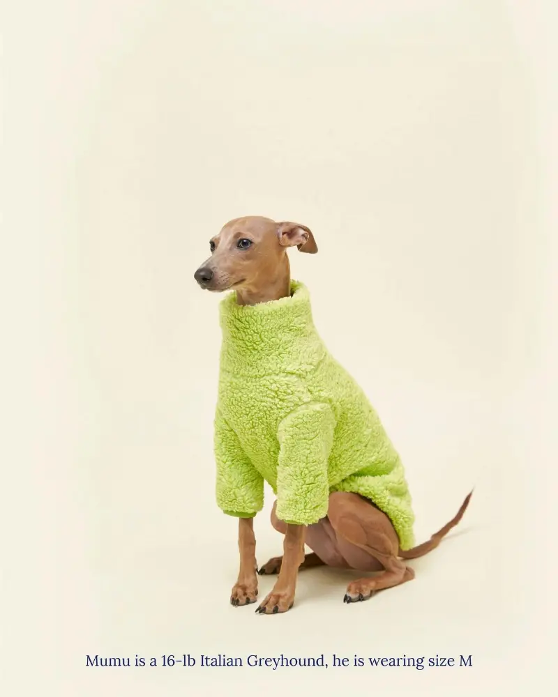 The Highlighter Fleece Sweatshirt (Final Sale) 4