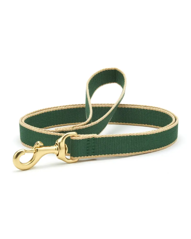 Color Market Dog Leash In Forest & Tan (Made In The Usa) 1