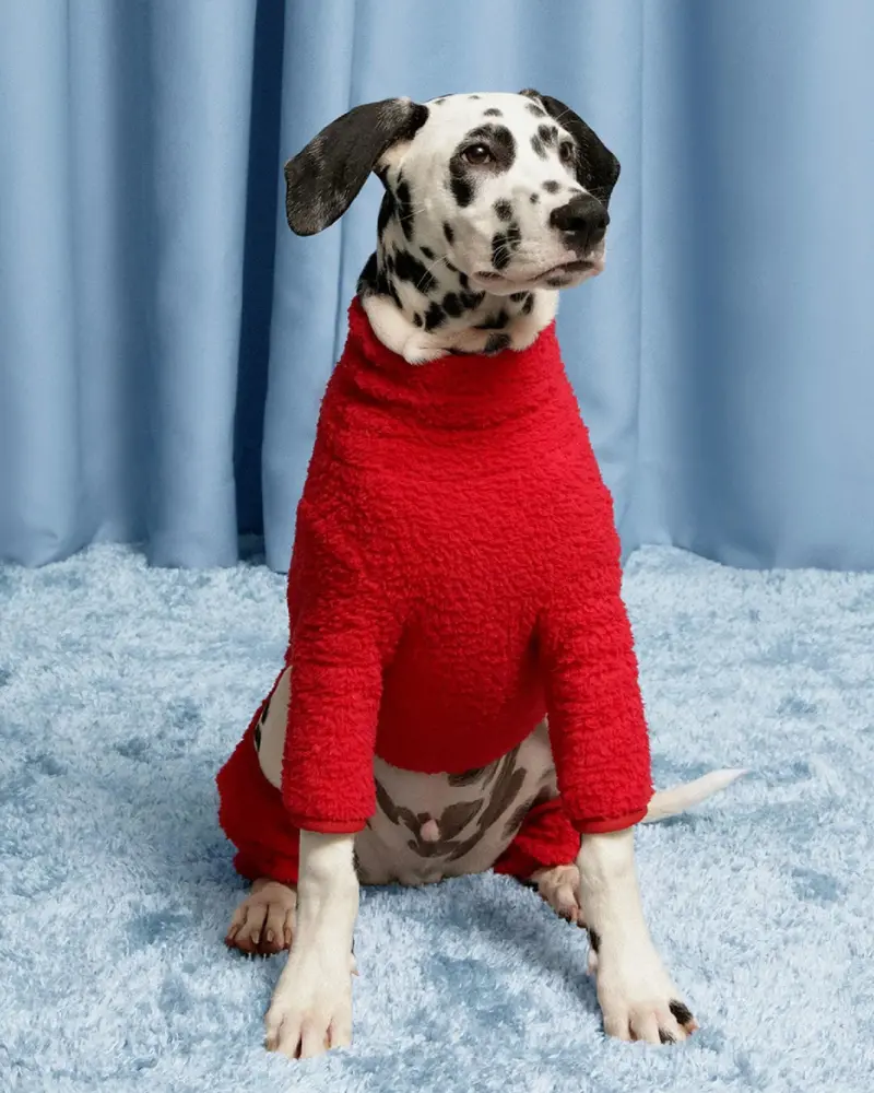 Hot Sauce Fleece Dog Onesie 1