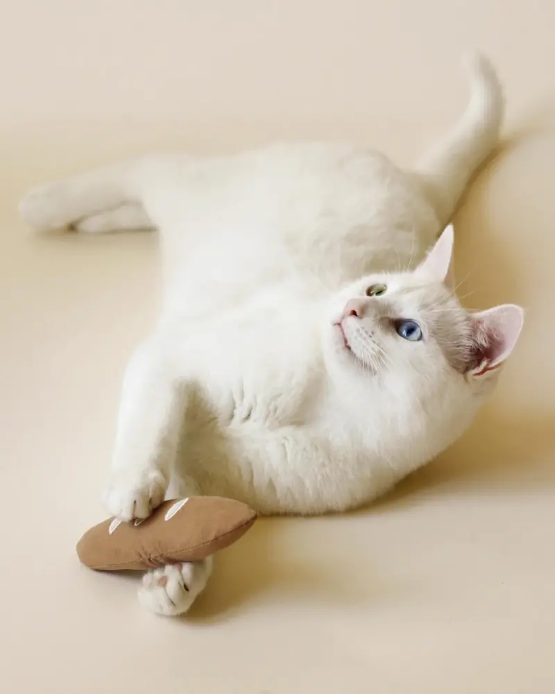 Warm Baguette Catnip Toy 1