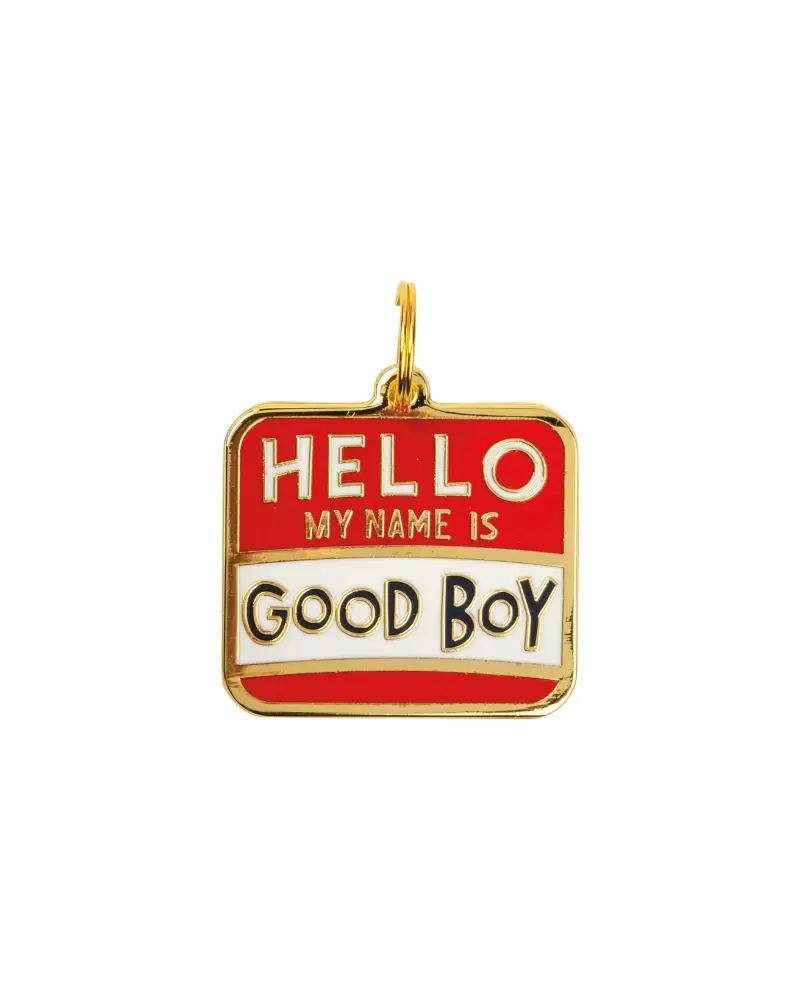Hello My Name Is Good Boy Collar Charm 1