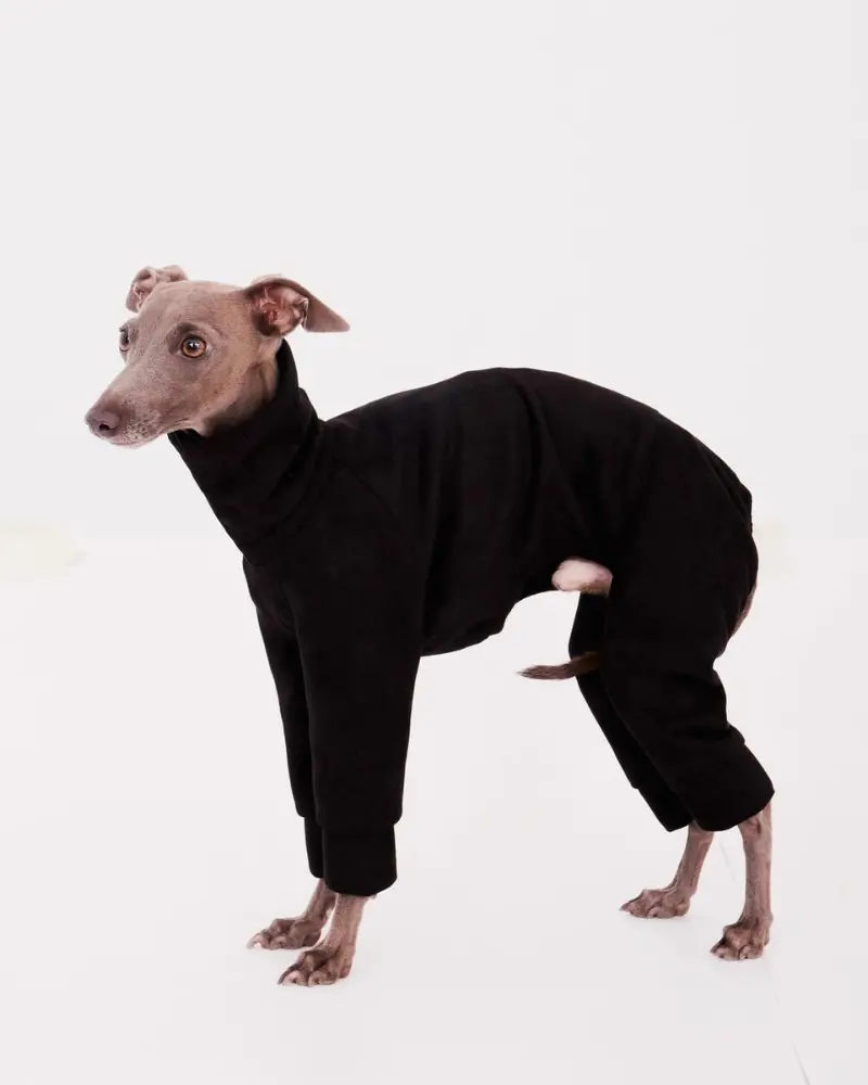 Dog Onesie In Black (Final Sale) 1