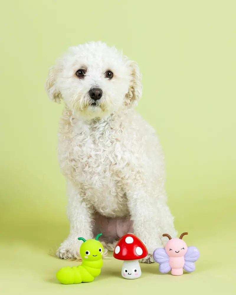 Keeping It Natural 3 Piece Squeaky Latex Dog Toy Set (Final Sale) 1