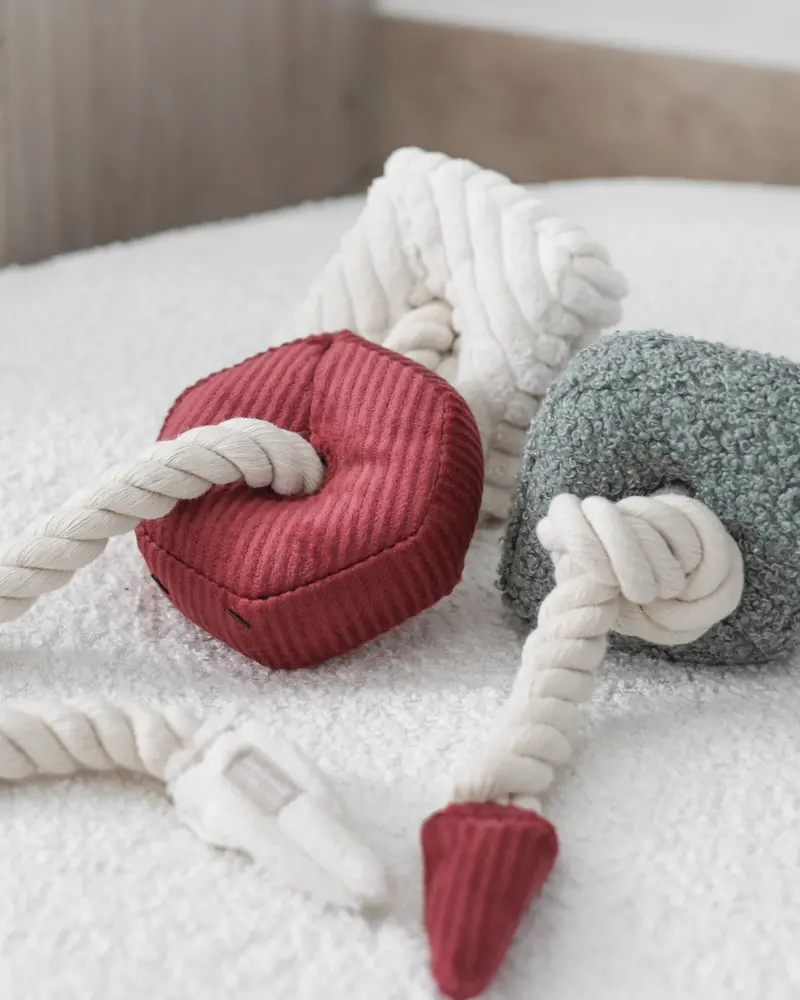 Christmas Blocs Interactive Tug Dog Toy 1