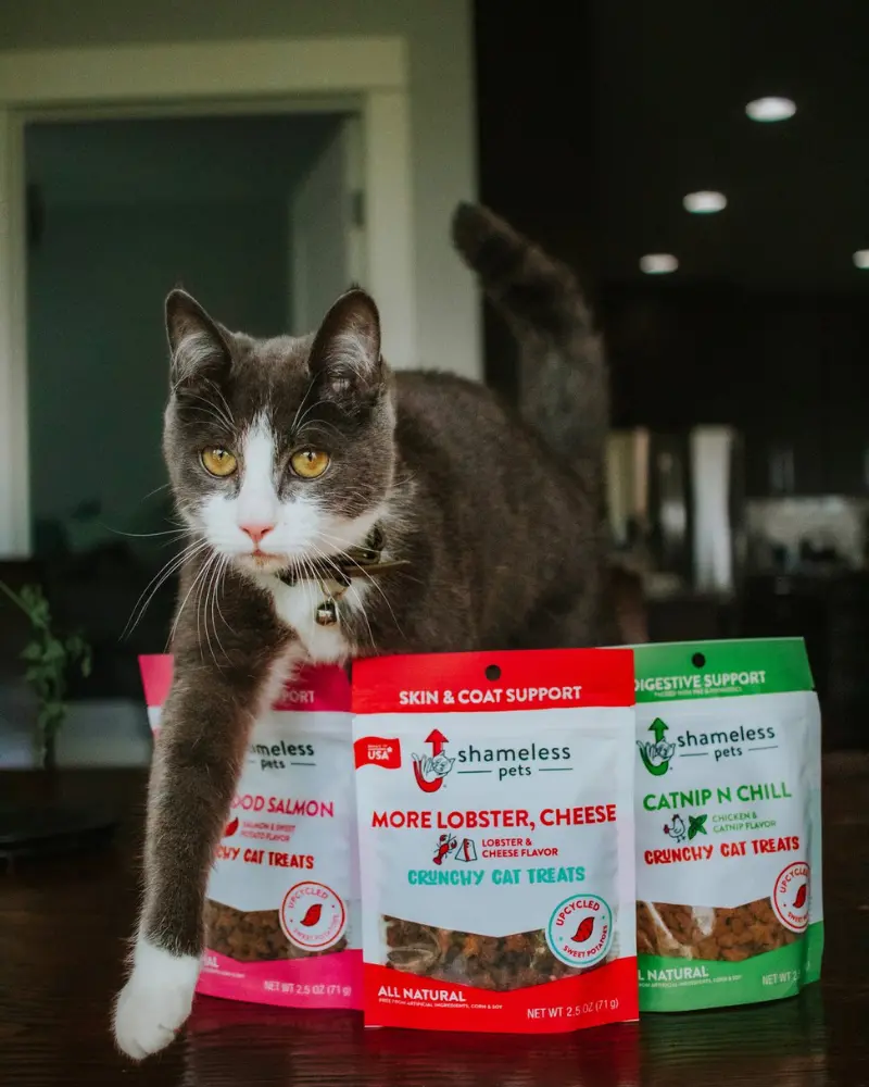 More Lobster, Cheese Crunchy Cat Treats 2