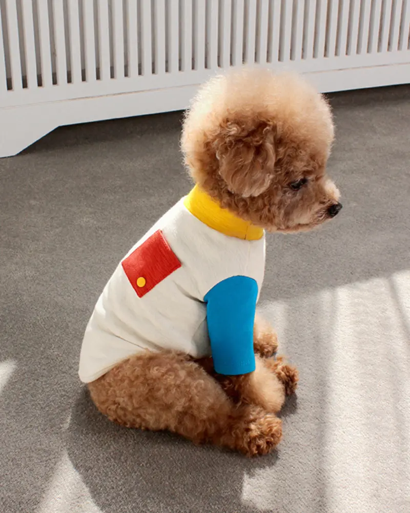 Point Tee For Dogs In Ivory 5