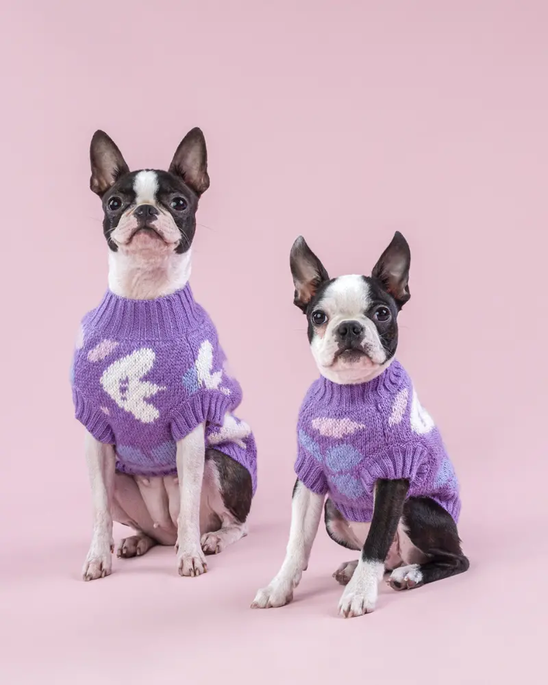 Floral Dog Sweater (Final Sale) 1