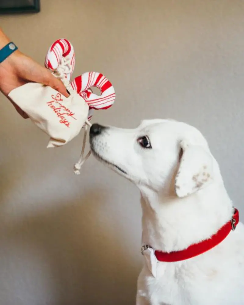 Cheerful Candy Canes Toy 1