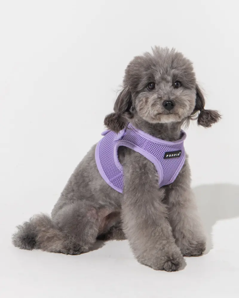 Soft Vest Dog Harness In Violet 1