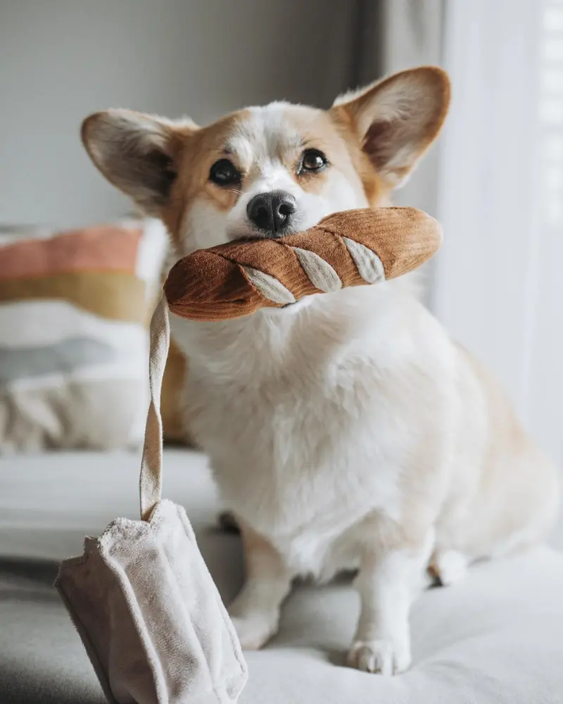 Mini Baguette Nosework Squeaky Dog Toy 1