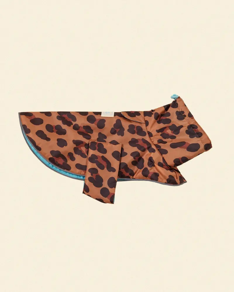 Cougar Dog Raincoat 1