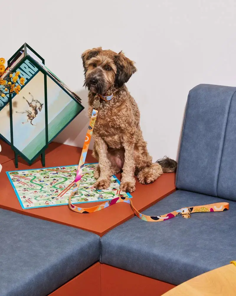 Snakes & Ladders Leather Dog Leash 1