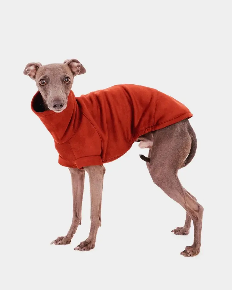 Dog Turtleneck In Tile (Final Sale) 1