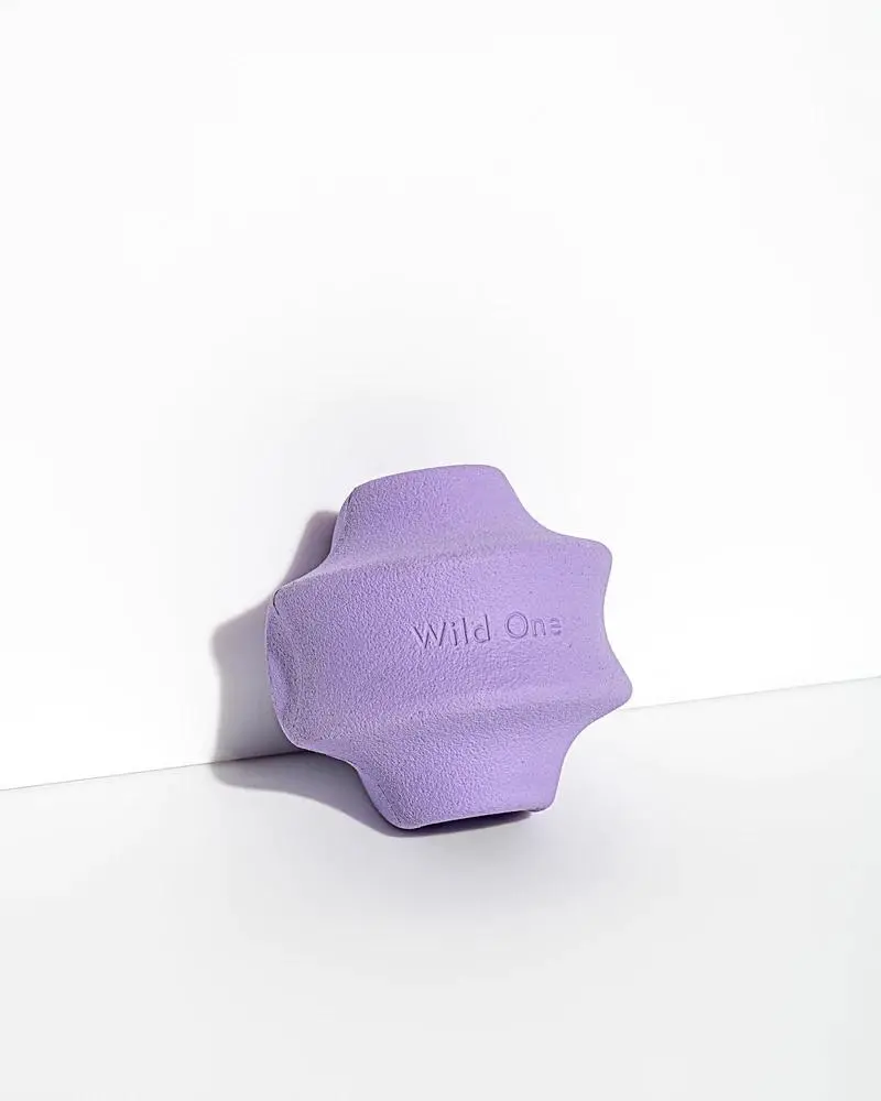 Twist Toss Dog Toy In Lilac 1