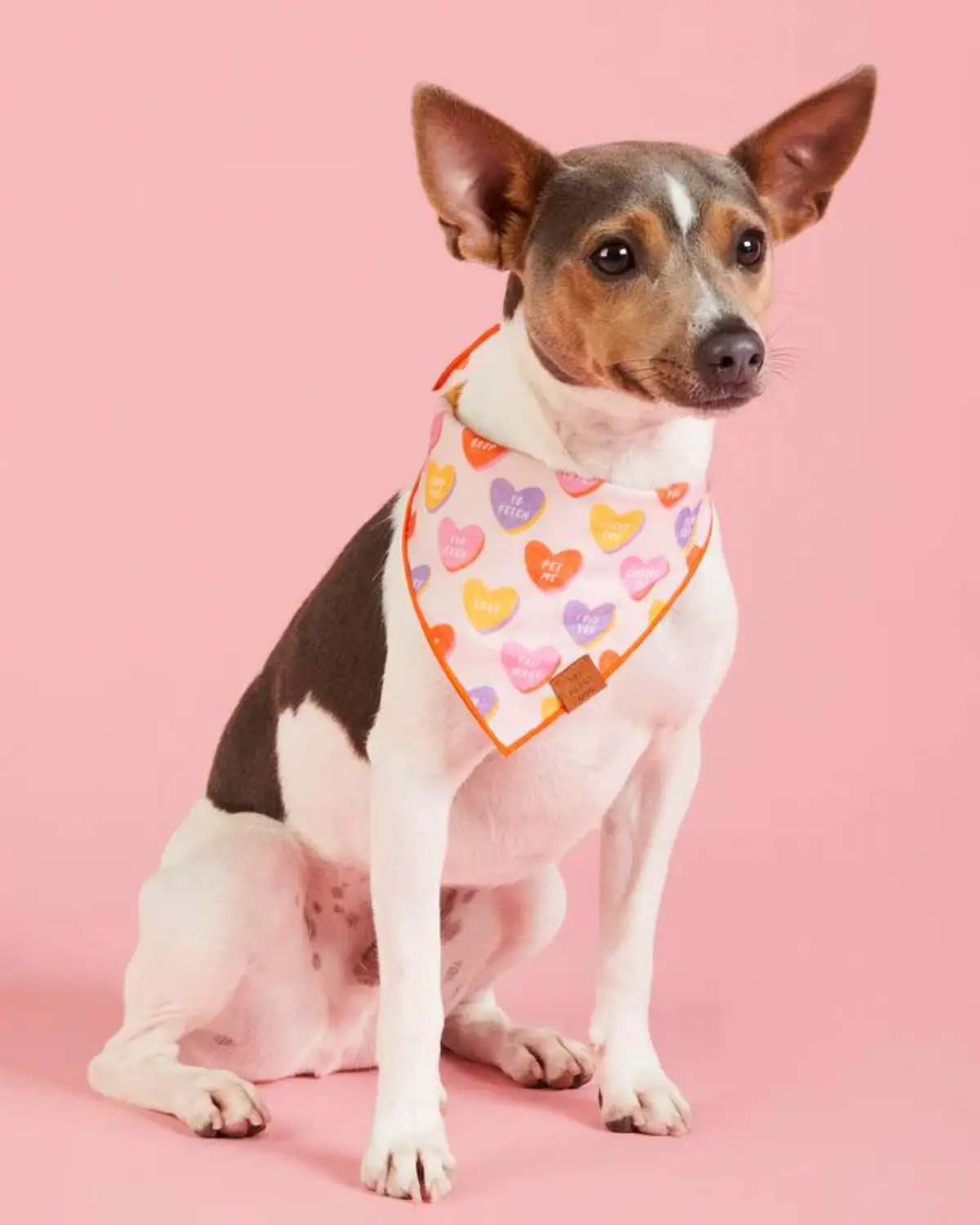 Candy Hearts Dog Bandana (Made In The Usa) (Final Sale) 1