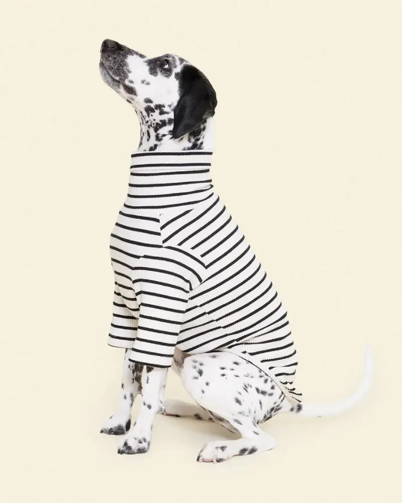 World's Your Oyster Dog Pullover Shirt 1
