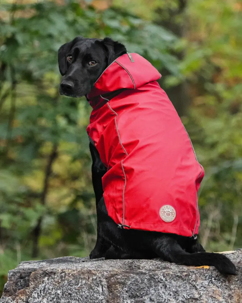 Reversible Waterproof Big Dog Raincoat In Red Plaid (Final Sale) 1