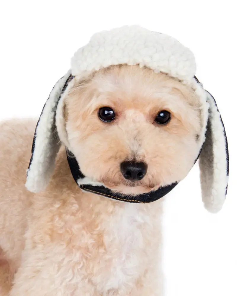 Denim & Sherpa Trapper Dog Hat (Final Sale) 3