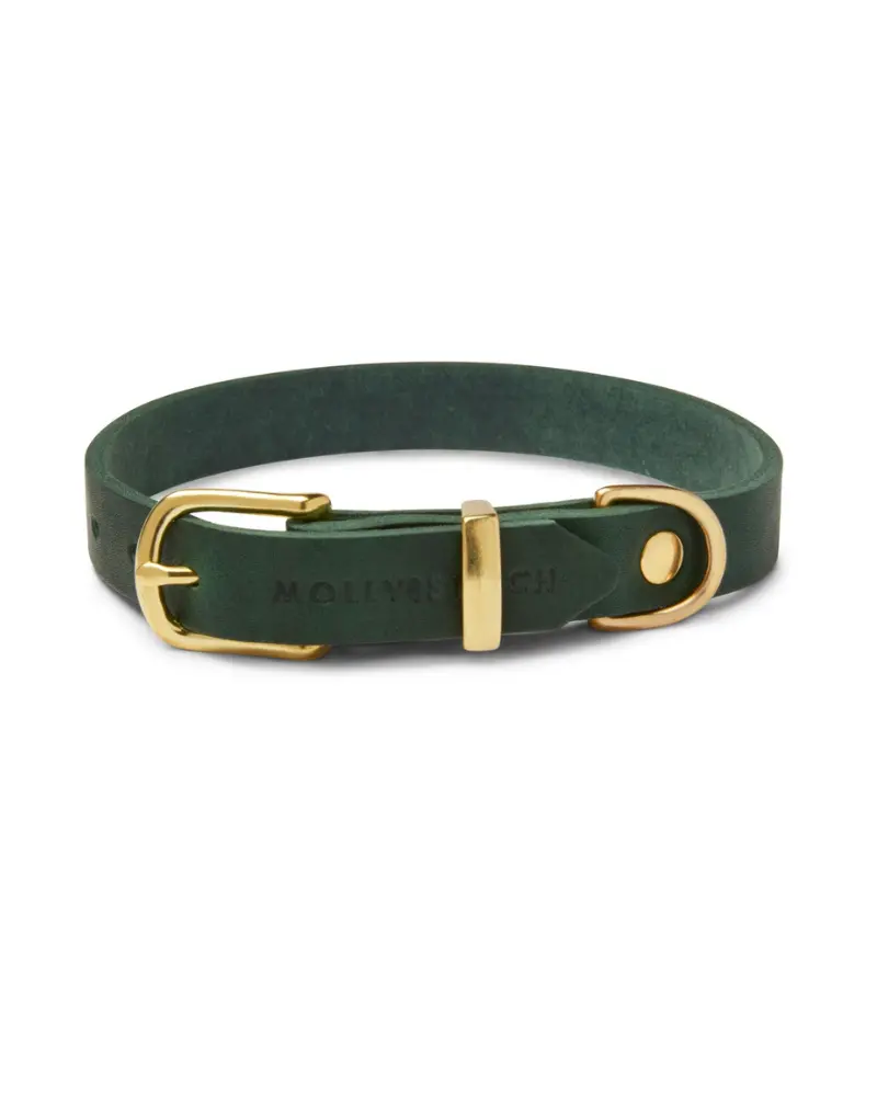 Butter Leather Dog Collar In Forest Green (Made In Austria) 1