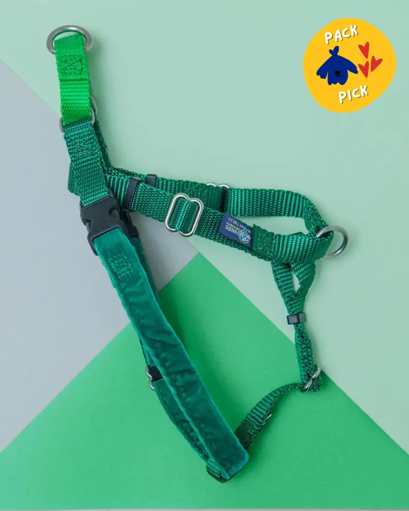 Freedom No-Pull Harness In Kelly Green (Made In The Usa) (Final Sale) 1