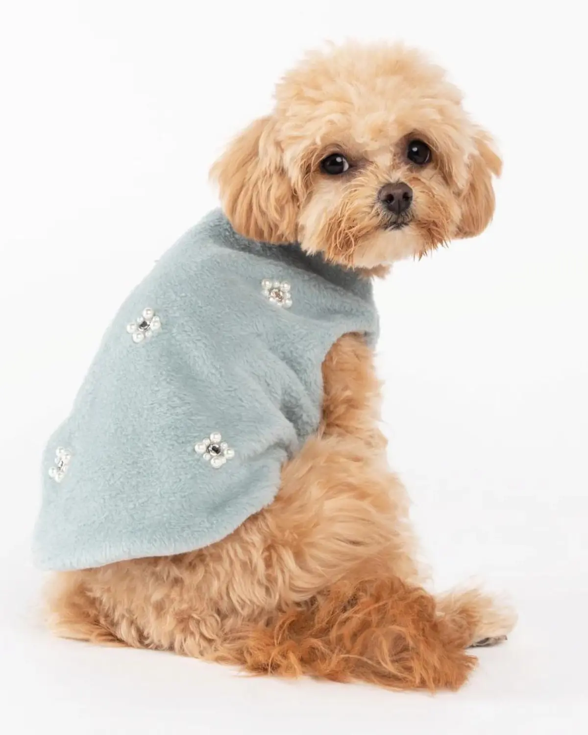 Embellished Fur Dog Vest In Soft Green (Final Sale) 1
