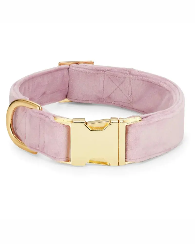 Lilac Velvet Dog Collar (Made In The Usa) (Final Sale) 2