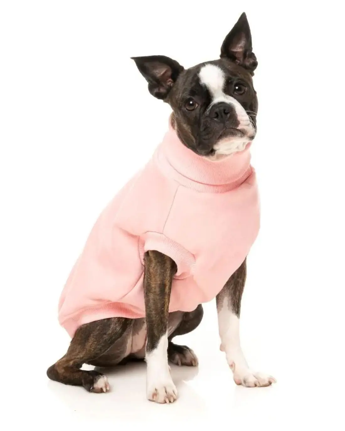 Stevie Dog Turtleneck In Pink (Final Sale) 1